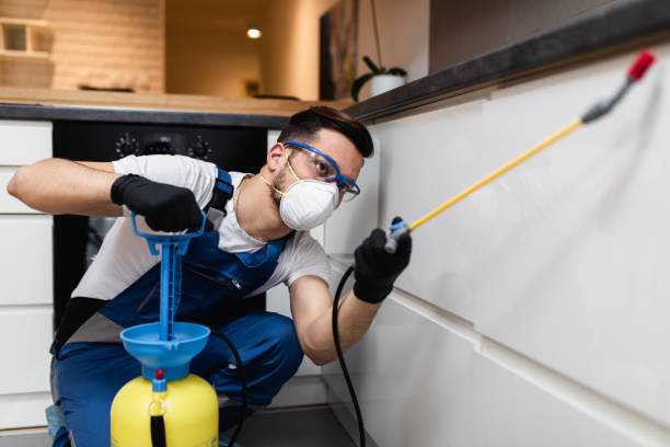 Best Pest Control Near Me  in Woodside, PA