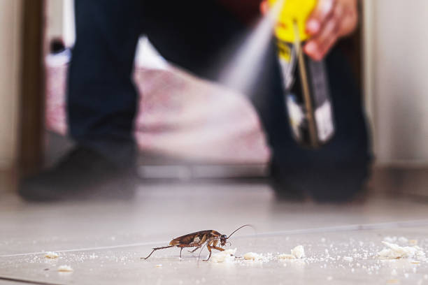 Best Affordable Pest Control Services  in Woodside, PA