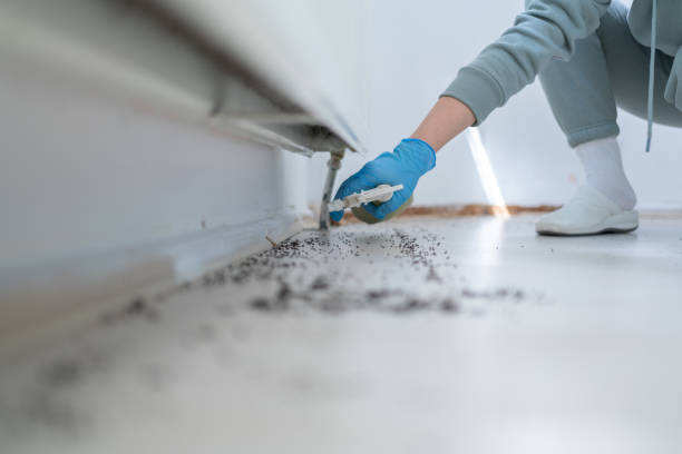 Best Best Pest Control Companies  in Woodside, PA